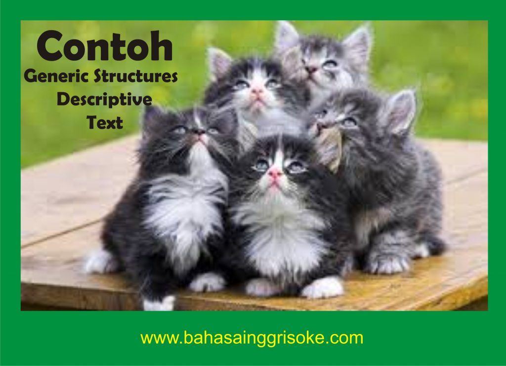 Contoh Generic Structure Descriptive Text Tentang Hewan, Tempat, Dan Orang