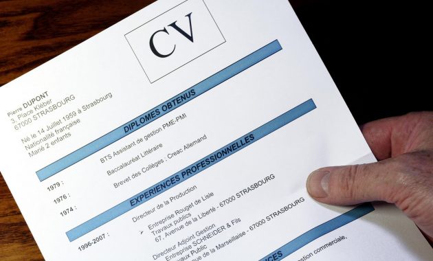 format dan contoh curriculum vitae