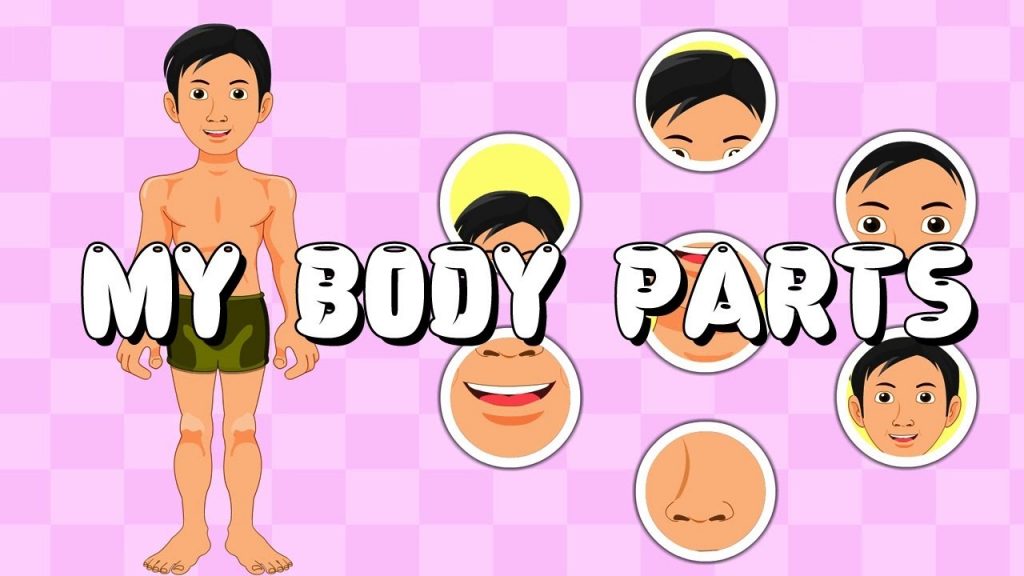 KOSA KATA BAHASA INGGRIS TENTANG PART OF BODY