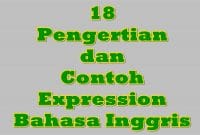 18 Peangertian dan Contoh Expression Bahasa Inggris