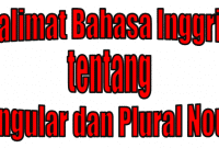 50 Kalimat Bahasa Inggris menggunakan Kata Benda Singular dan Plural