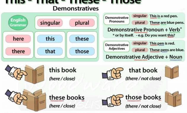 Indefinite Demonstrative Adjective – BukuInggris.Co.Id