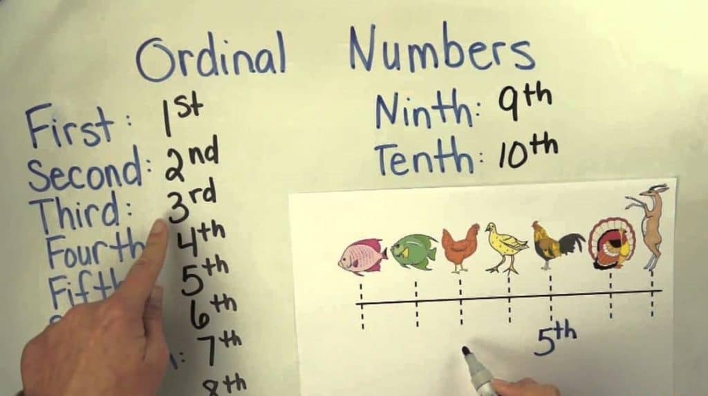 pengertian Ordinal Number