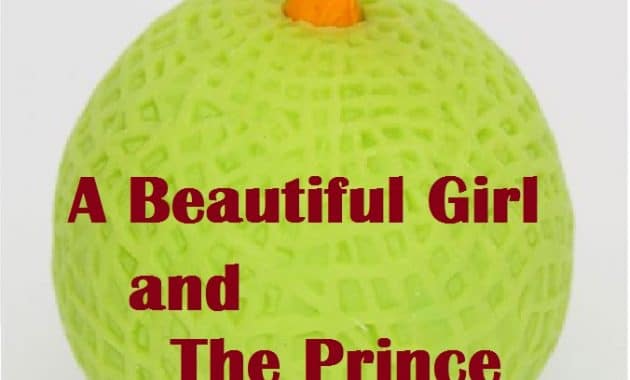 Generic Structure A Beautiful Girl and The Prince beserta Terjemahan, Contoh Soal dan Jawaban
