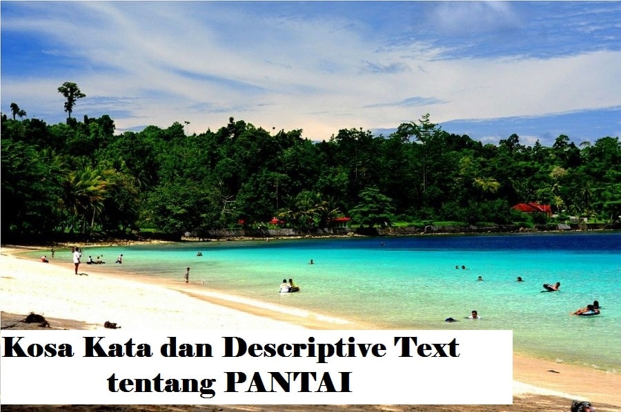 Kosa Kata dan Descriptive Text Singkat tentang Beach atau Pantai