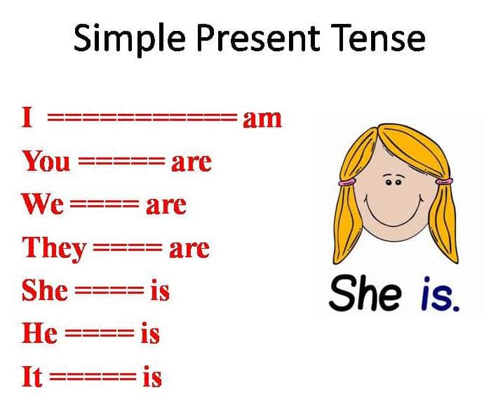 Contoh kalimat nominal simple present tense